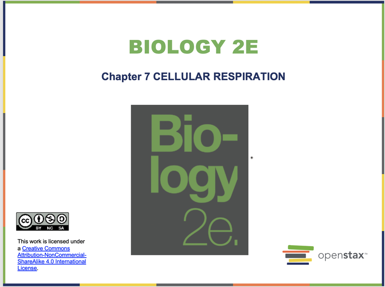 Cellular Respiration Resources