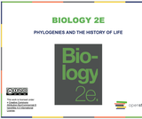 Biology I Course Content, Phylogenies and the History of Life, Phylogenies and the History of Life Resources