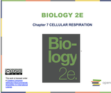 Biology I Course Content, Cellular Respiration, Cellular Respiration Resources