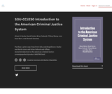 Introduction to the American Criminal Justice System