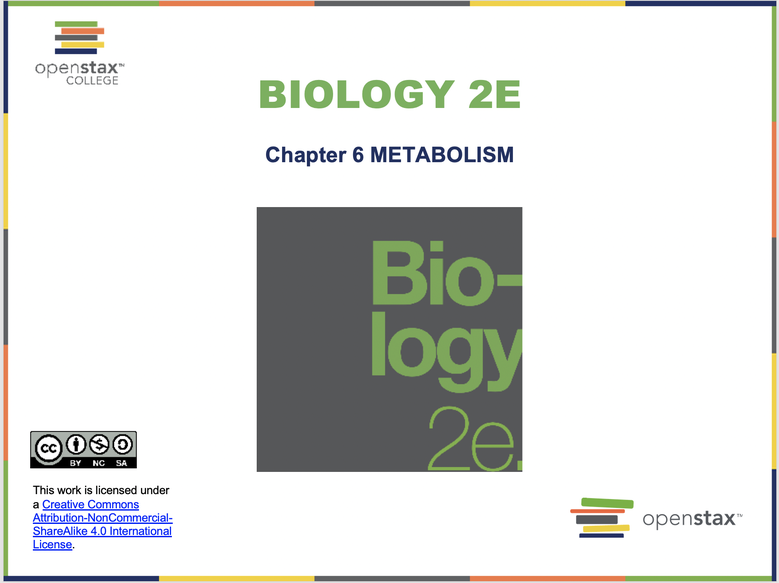 Metabolism Resources