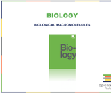 Biology I Course Content, Biological Macromolecules, Biological Macromolecules Resources