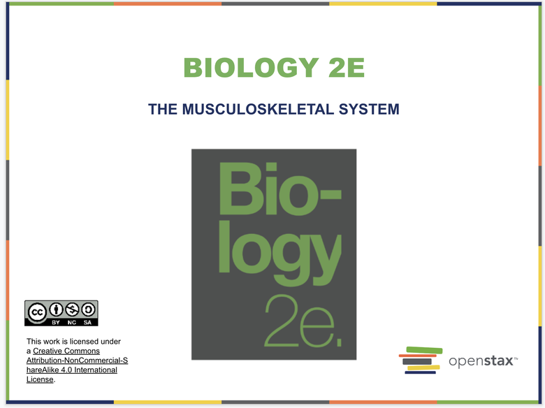 The Musculoskeletal System Resources