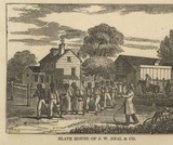 US/American History I Course Content, The Antebellum South 1800-1860, The Antebellum South 1800-1860