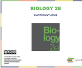 Biology I Course Content, Photosynthesis Introduction, Photosynthesis Introduction Resources