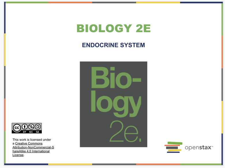 The Endocrine System Resources